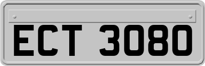 ECT3080