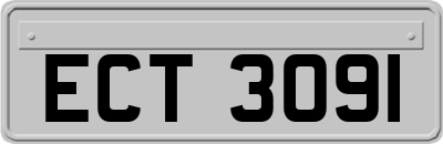 ECT3091