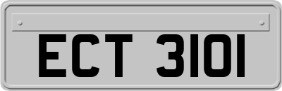 ECT3101