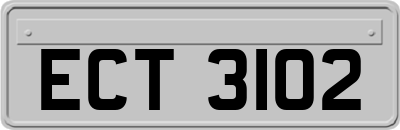 ECT3102