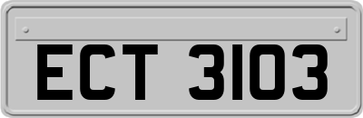 ECT3103