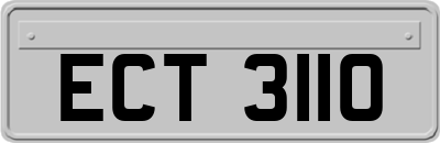 ECT3110
