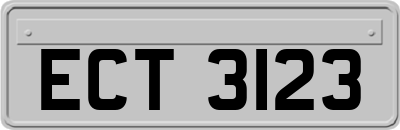 ECT3123