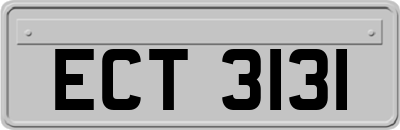 ECT3131