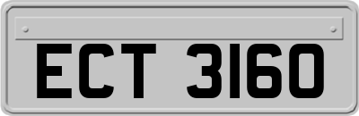 ECT3160