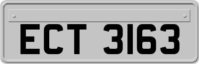 ECT3163