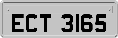 ECT3165