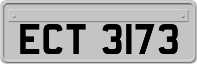 ECT3173