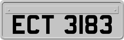 ECT3183