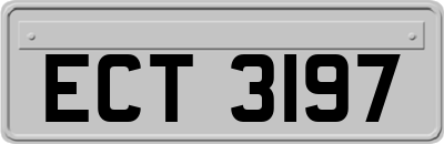 ECT3197