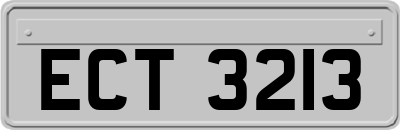 ECT3213
