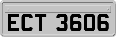 ECT3606