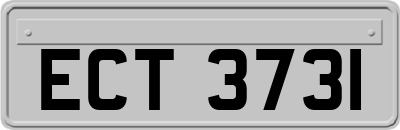 ECT3731
