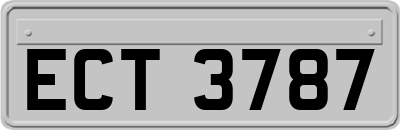 ECT3787