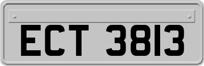 ECT3813