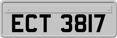 ECT3817