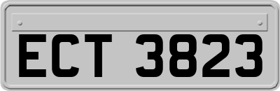 ECT3823
