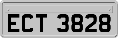 ECT3828
