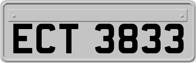 ECT3833