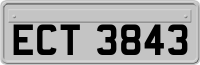 ECT3843