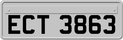 ECT3863