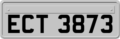 ECT3873