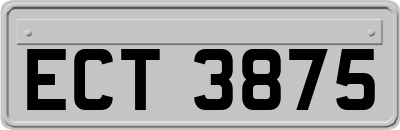 ECT3875