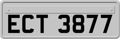 ECT3877