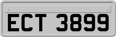ECT3899