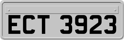 ECT3923