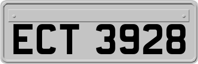 ECT3928