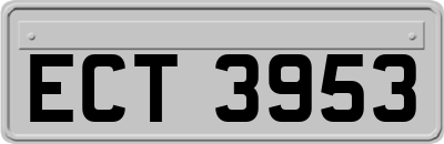 ECT3953