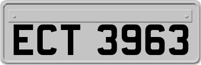 ECT3963