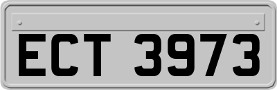 ECT3973