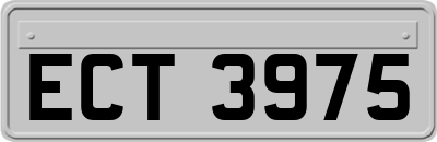 ECT3975