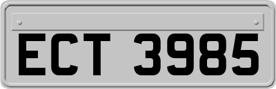 ECT3985