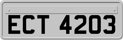 ECT4203