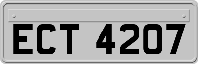 ECT4207