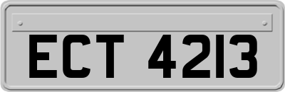 ECT4213