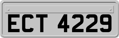 ECT4229