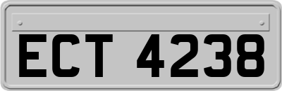 ECT4238