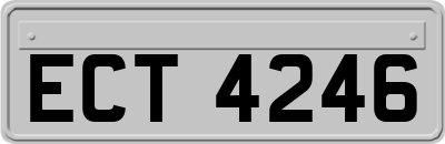 ECT4246