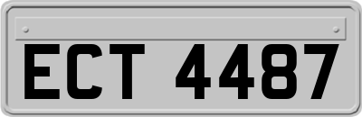 ECT4487