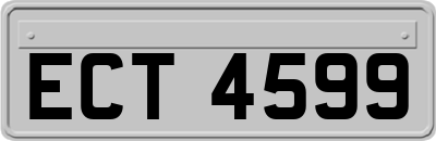 ECT4599