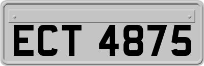 ECT4875