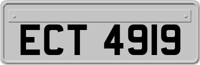 ECT4919