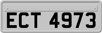 ECT4973