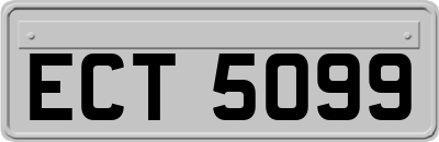 ECT5099