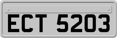 ECT5203