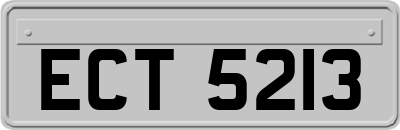 ECT5213